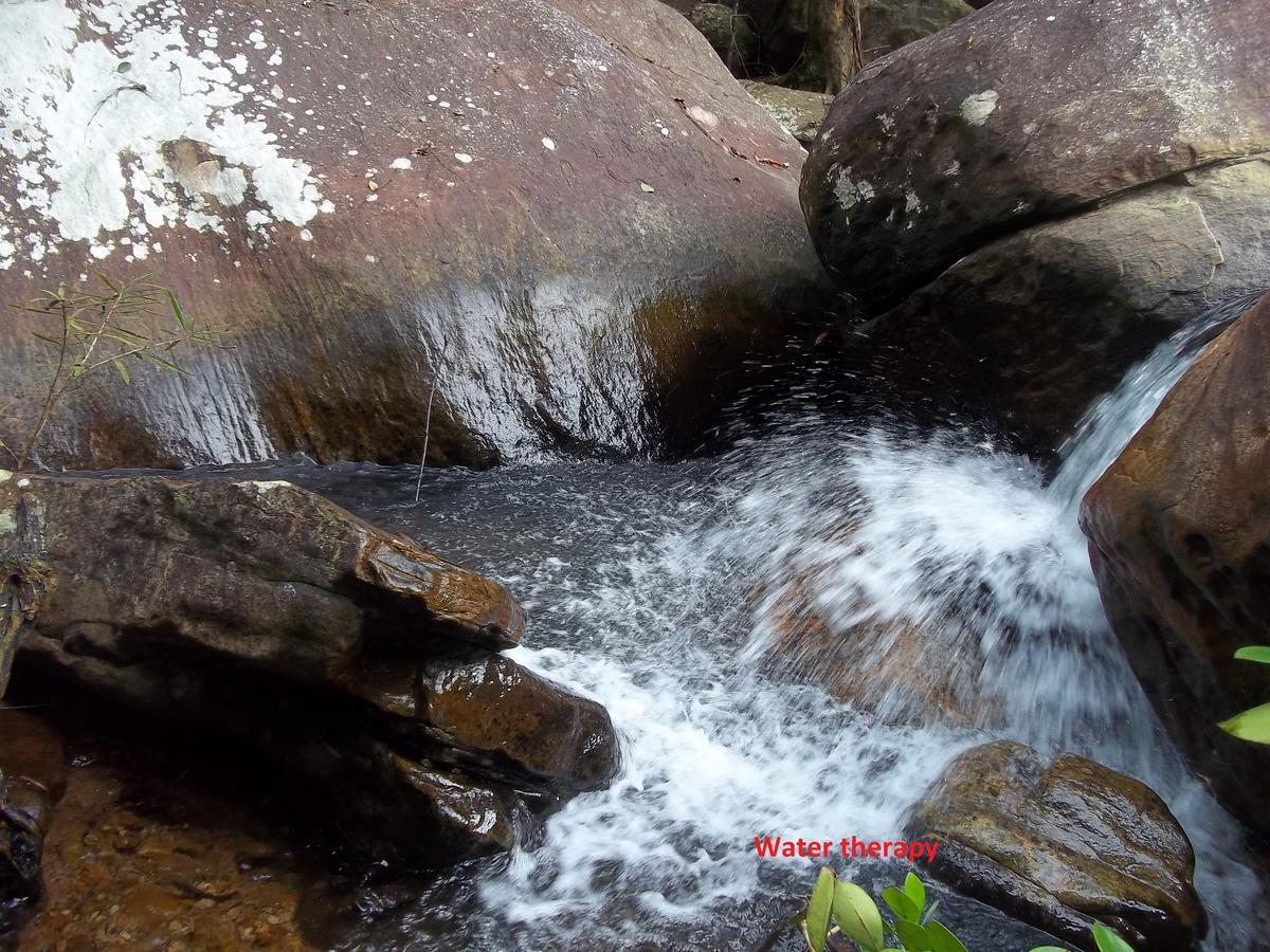 Girankiththa Eco Resort Kitulgala Exterior foto