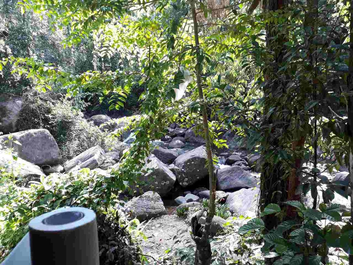 Girankiththa Eco Resort Kitulgala Exterior foto