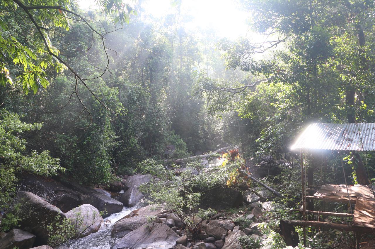 Girankiththa Eco Resort Kitulgala Exterior foto